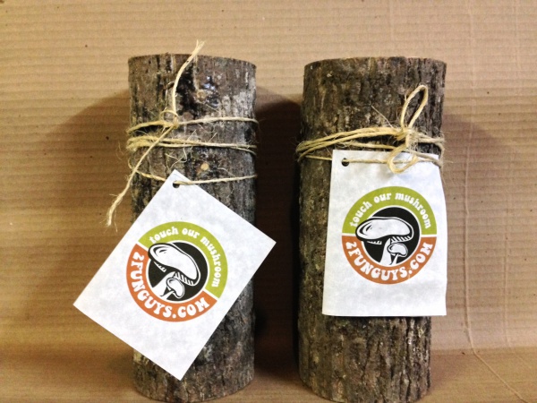 2 fun guys logs