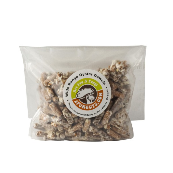 250ct oyster mushroom plug spawn dowels