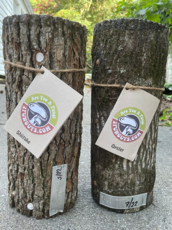 2FunGuys Mushroom Log Duo Gift Set