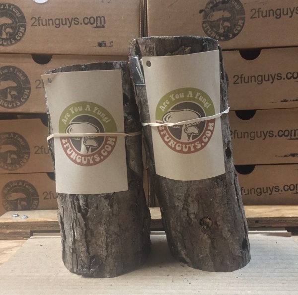 2 fun guys logs