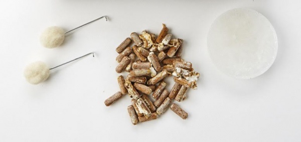 mushrooms spawn kit