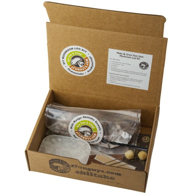 shiitake spawn diy mushroom log starter kit