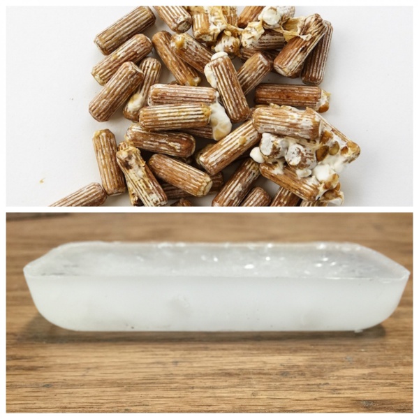 mushrooms wax spawn